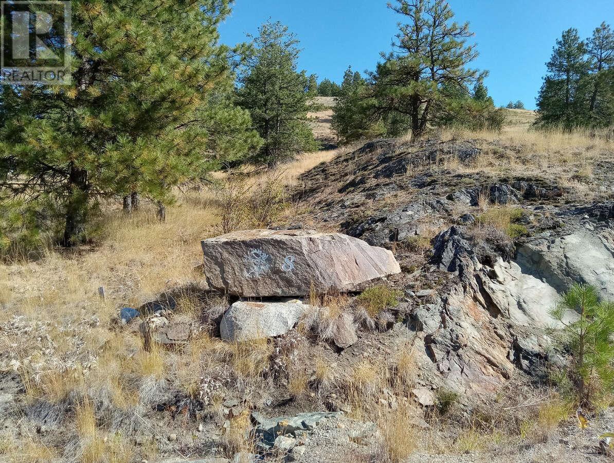 1024 BULLMOOSE Trail, Osoyoos