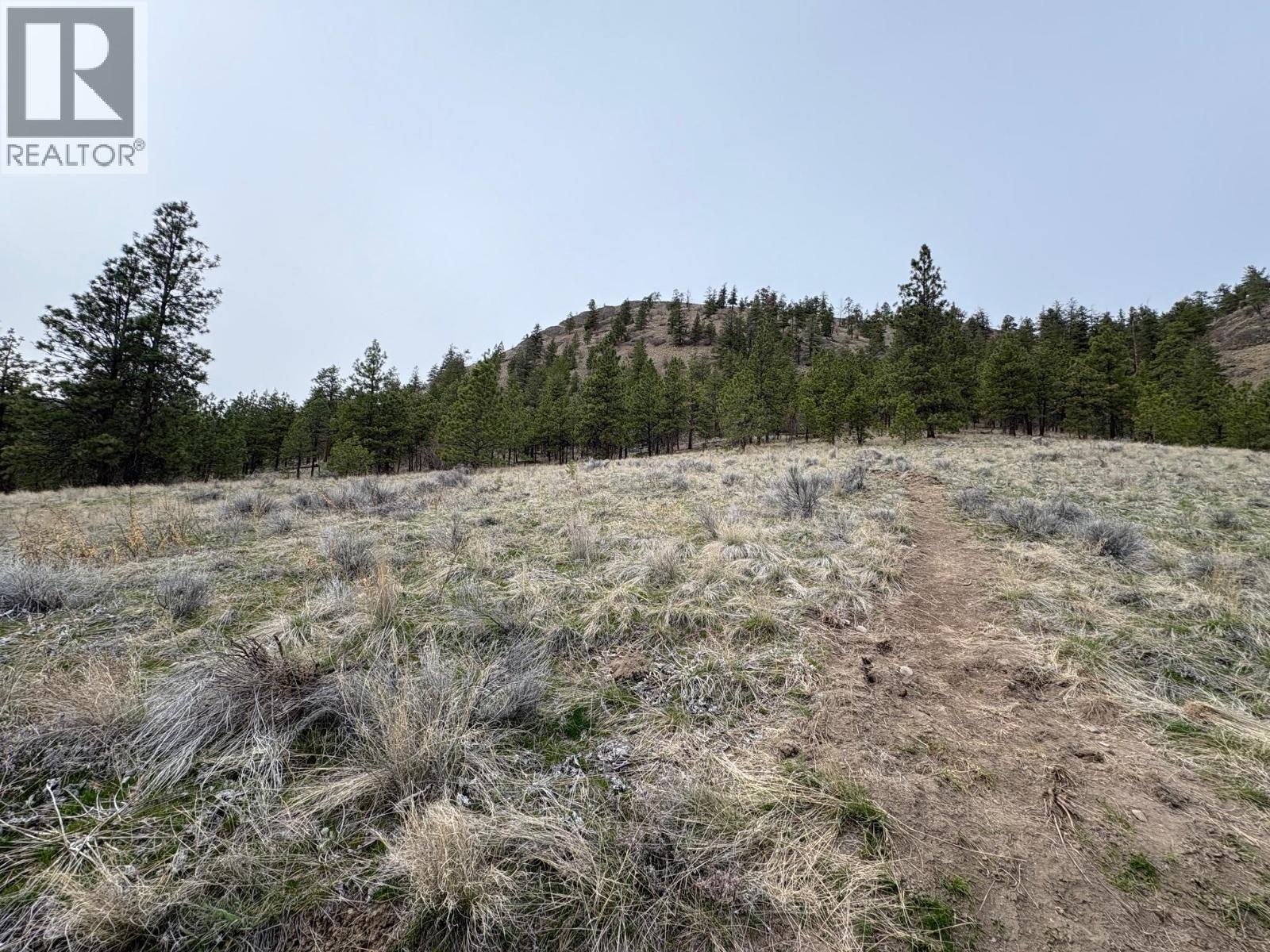 Andrew Avenue, Summerland